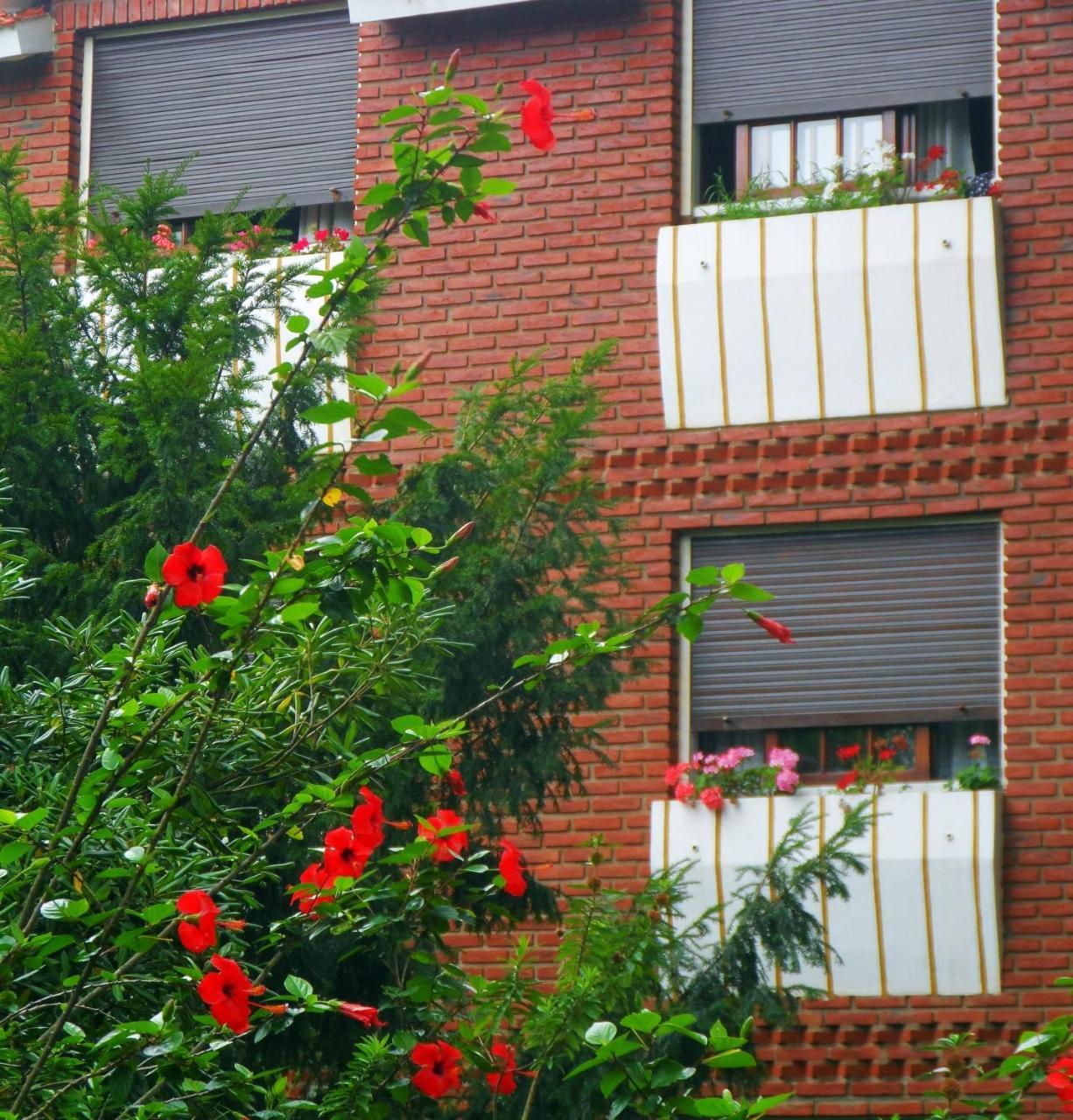 Hotel Eo Park San Clemente del Tuyu Bagian luar foto